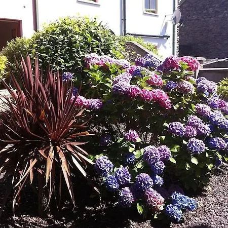 Burnham View دينغل